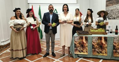 El Borge celebra este domingo su XXIX Día de la Pasa como referente del patrimonio agrícola y la tradición de la Axarquía El Borge celebra este domingo su XXIX Día de la Pasa como referente del patrimonio agrícola y la tradición de la Axarquía