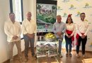 Moclinejo celebra este domingo la XXVI edición del Día de Viñeros dedicada a todas las generaciones que han mantenido la uva pasa moscatel en la Axarquía