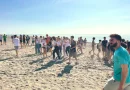 La Diputación presenta en Vélez-Málaga una jornada europea de concienciación sobre la contaminación marina